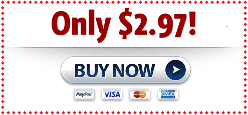 Search Marketing 2.0 - Full PLR + Funnel Kit