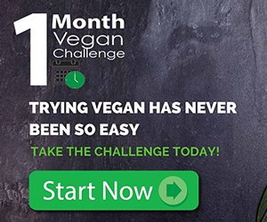 1 Month Vegan Challenge 1 Month Vegan Challenge